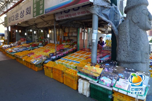 老济州城农贸市场桔子类商品琳琅满目